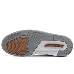 Air Jordan 3 Retro Wizards