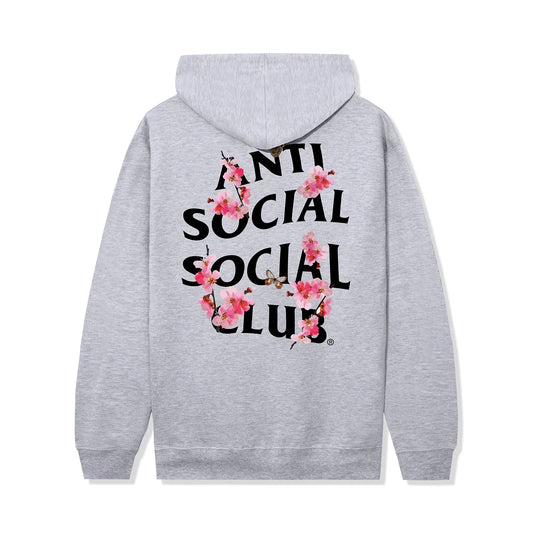 ASSC KKotch Hoodie Grey back