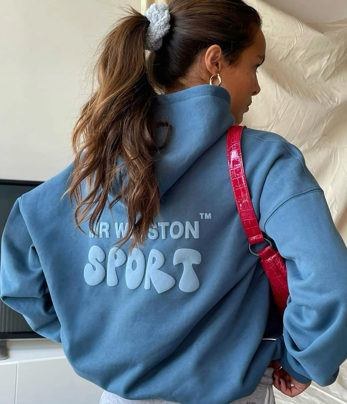 ds1 3000x